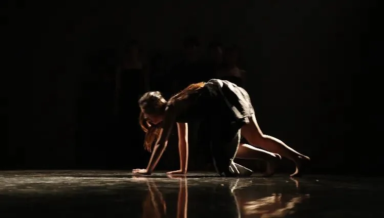 We'll talk behind the scene of Cocoon House. - We'll record "I" with the P4. - P4 Theater, image 17