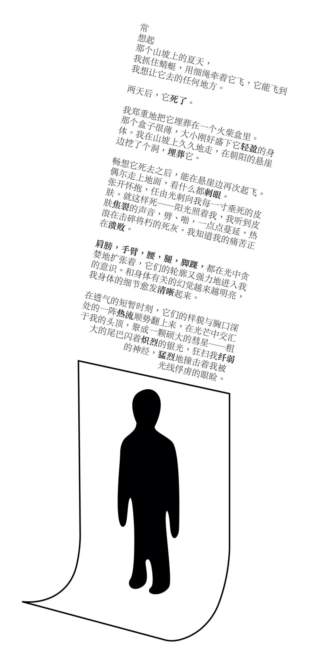 The script. - Performance Command - Wing, image 2