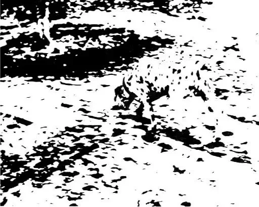 From shape - To see the essence through phenomena., image 3