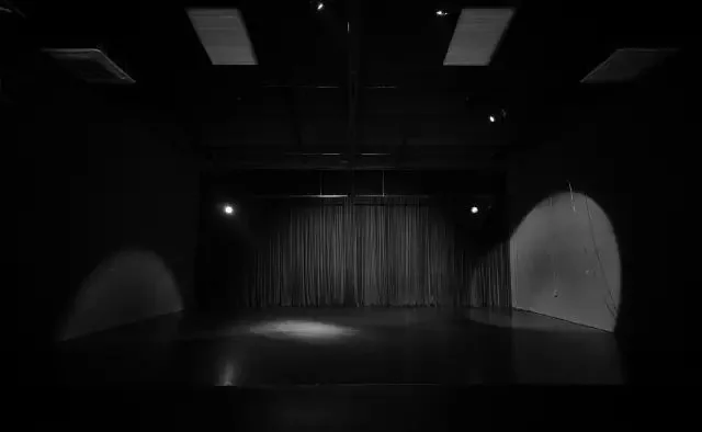 Pixel Echo XIII, image 12