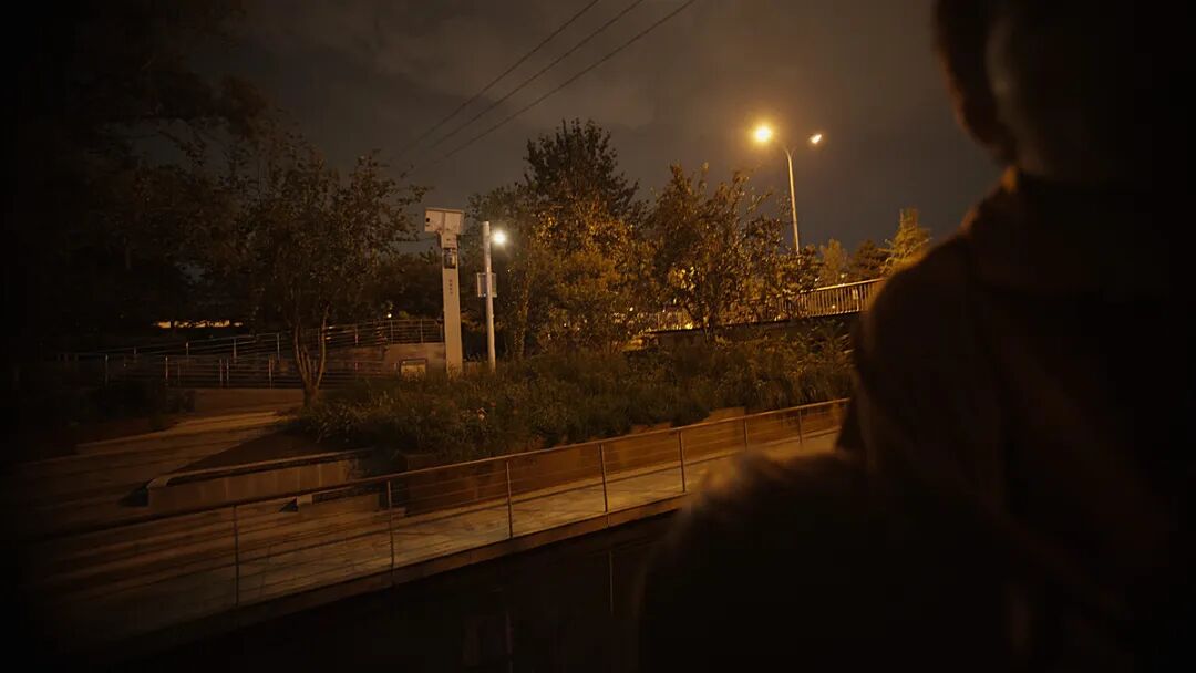The Aliens Never Appeared: Human Surrender and the Nonhuman Camera