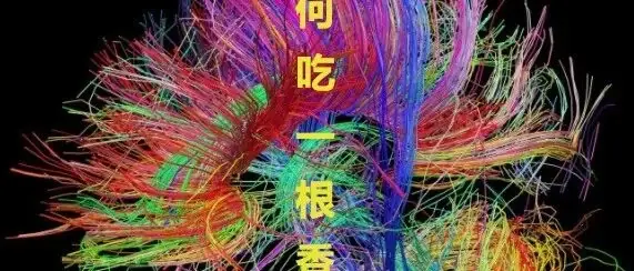 如何吃一根香蕉？：彩色线条中的如何吃一根香蕉标题